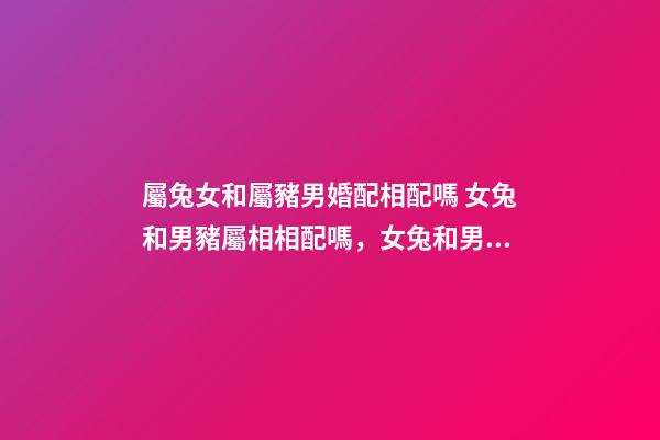 屬兔女和屬豬男婚配相配嗎 女兔和男豬屬相相配嗎，女兔和男豬相配嗎-第1張-觀點-玄機派